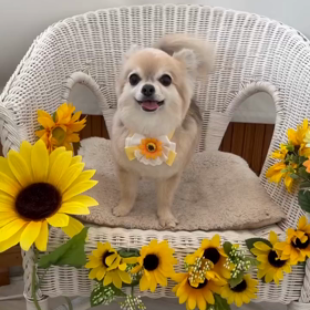 まるの8月⛱️の画像