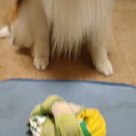 食い気では、負けません！の画像