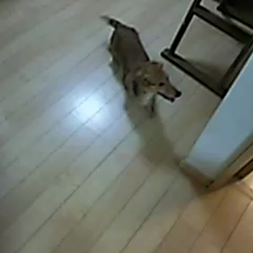 雨の日の朝の画像