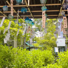 手水舎の風鈴の音に癒されるの画像