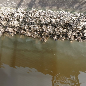 初めての遭遇の画像