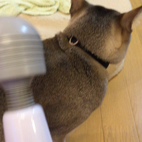 愛しの君♡Ｊ君の画像