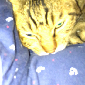 ☆今朝のラス君☆の画像