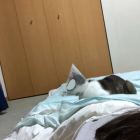 いつも未読。喧嘩、暴走…もう寝ようよ。の画像