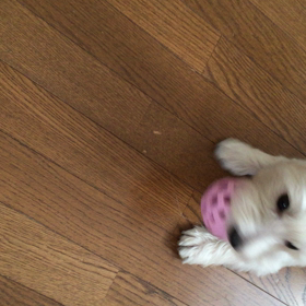 やる気スイッチ。の画像