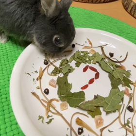 ちゃっぴぃ7year-old♡の画像