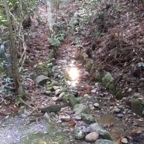 何か映ってる！これ妖精⁈の画像