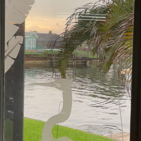 家の中からの画像