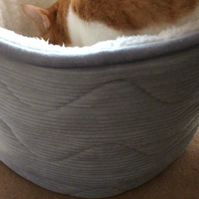 04/18 フミフミ（動画）の画像