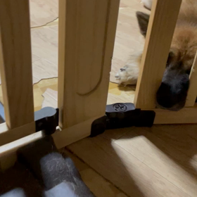 ぶちゃいくも構わないの画像