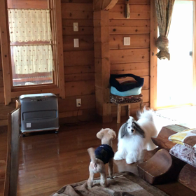 僕は男の子だよの画像