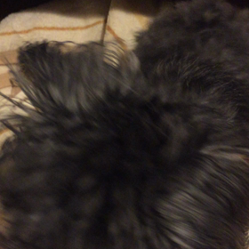 ふーっっの画像