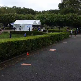 リレー選考会　スタート付近⑤の画像