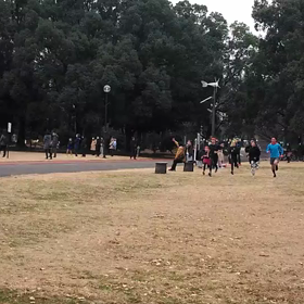 400mインターバル③の画像