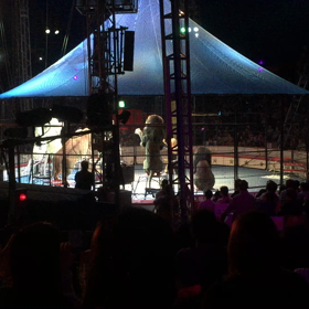 サーカス けーのブログ アニメ 声優さん大好き