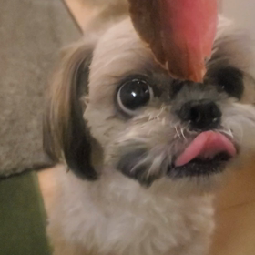 からのー！！の画像