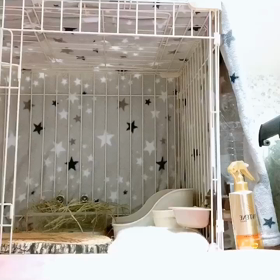 走るよ〜の画像