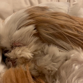 早寝遅起きの画像