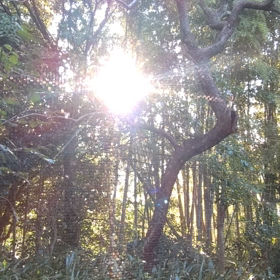 お早うございます。今日の天気は曇り時々雨です。の画像