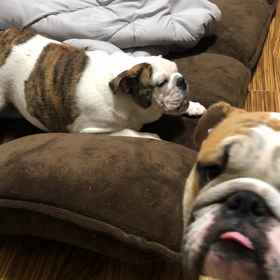 初めて！の画像