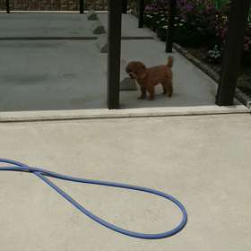 もう夏！の画像