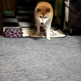 そして7月。の画像