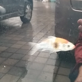 かわいい～♪の画像