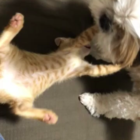 ひなたが来た時の画像