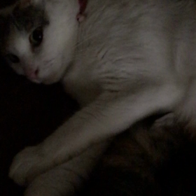 ソプラままは乳母継続中！の画像