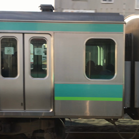 № 117 今日の写真です。(動画)の画像