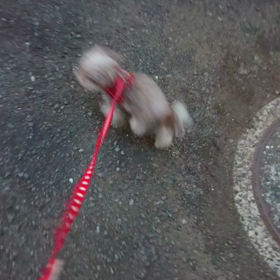 おはようございますの画像