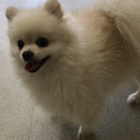 ♪プレイルーム動画♪①の画像