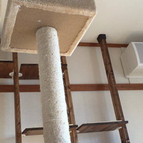 バレーボールの画像