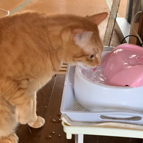 幸せのバトンの画像