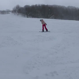 ジャングルジャングルの画像