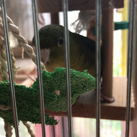 バードホテルの画像