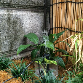 なにも届かないのに晴天(๑╹ω╹๑ )の画像