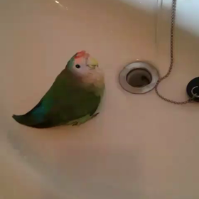 ☆ムービー☆の画像