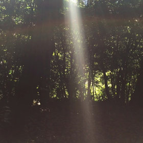 「ありがとう」はいま「ある」ということへの感謝の気持ちの画像