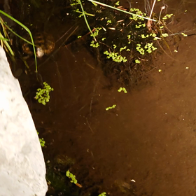 食欲前線異常アリの画像