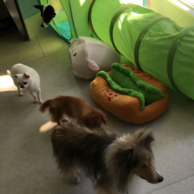 ♪年末年始のプレイルーム動画♪②の画像