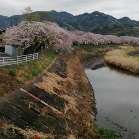 再生未来丸3日目の朝‼️丸子川まで約3.5kmを2回休憩して約１時間で到着‼️未来丸イヤイヤの画像