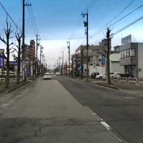 3/22花ぐもりの画像