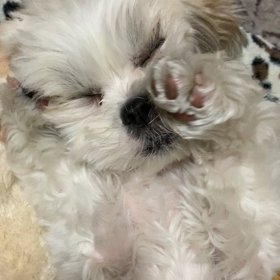 眠たい〜！の画像