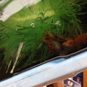 ハラハラドキドキの画像