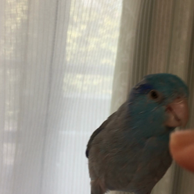 ライちゃんの首クネクネと高速カキカキの画像