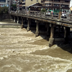 京都日和の画像