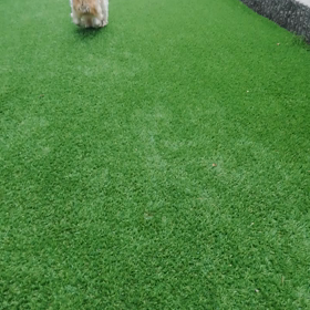 募集開始o(^o^)oの画像