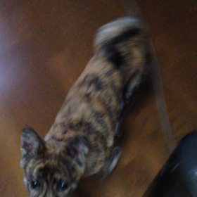 動画特集の画像