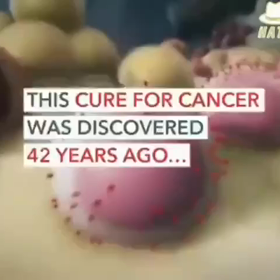 老衰　ENOUGHisENOUGH83/18516の画像